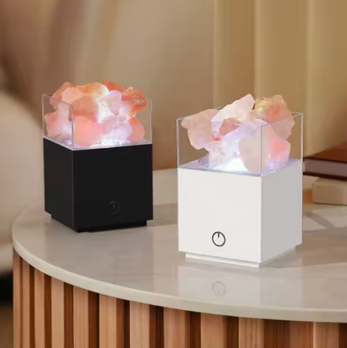 Salt Projection Lamp